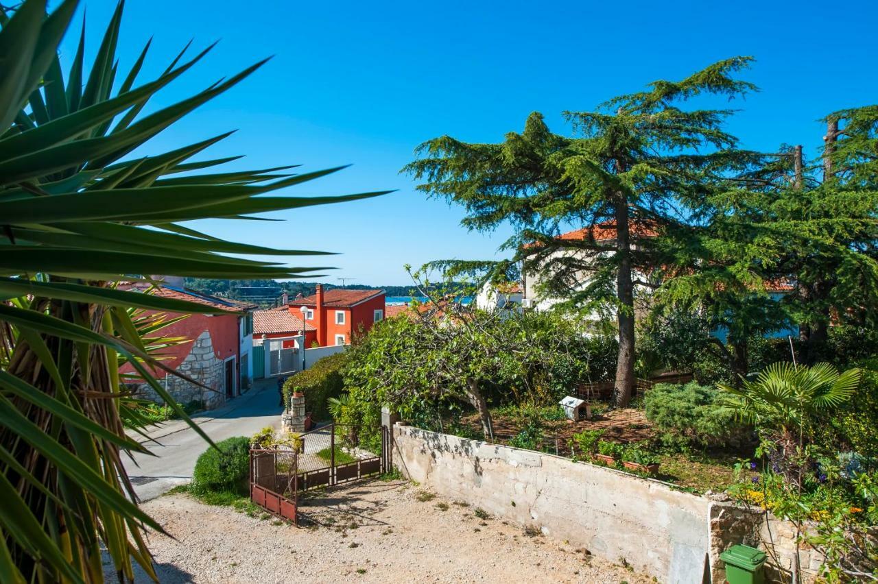 Nikval * Rovinj